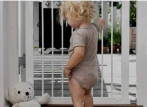 Baby & Pet Proofing Services in Montreal and Toronto